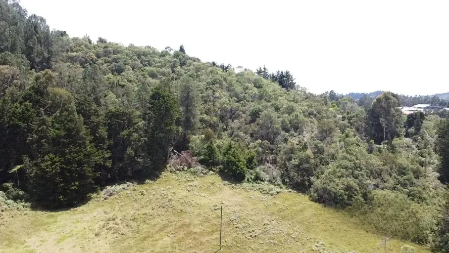 Lote en venta en Pantanillo, Envigado · foto 3 de 12