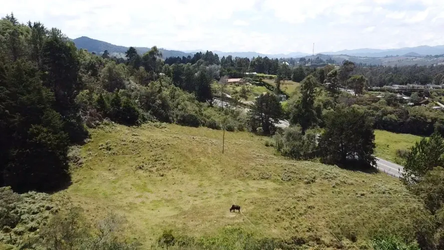 Lote en venta en Pantanillo, Envigado · foto 4 de 12
