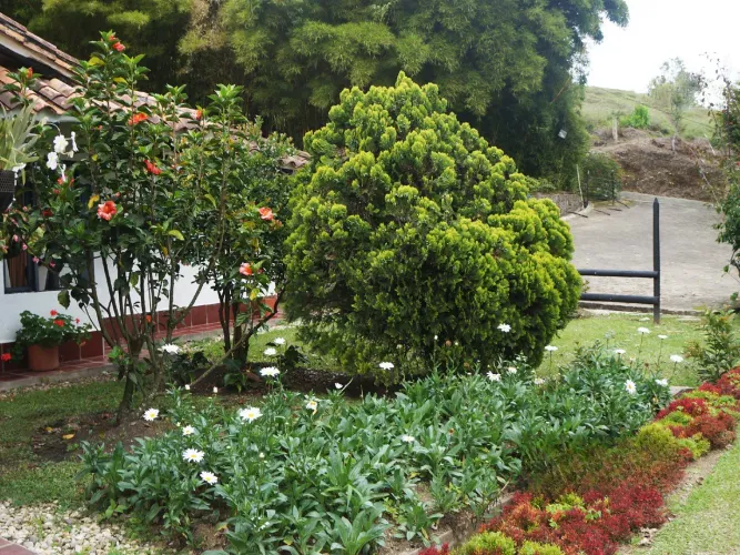 Finca en venta en Quirama, El Carmen de Viboral, 9905 m² · foto 23 de 24