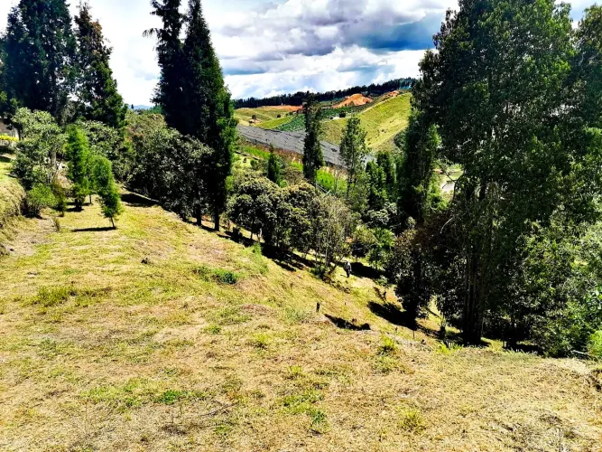 Lote en venta en Pontezuela, Rionegro, 4607 m² · foto 5 de 7