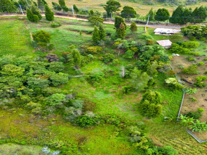 Lote en venta en Pontezuela, Rionegro, 4607 m² · foto 6 de 7