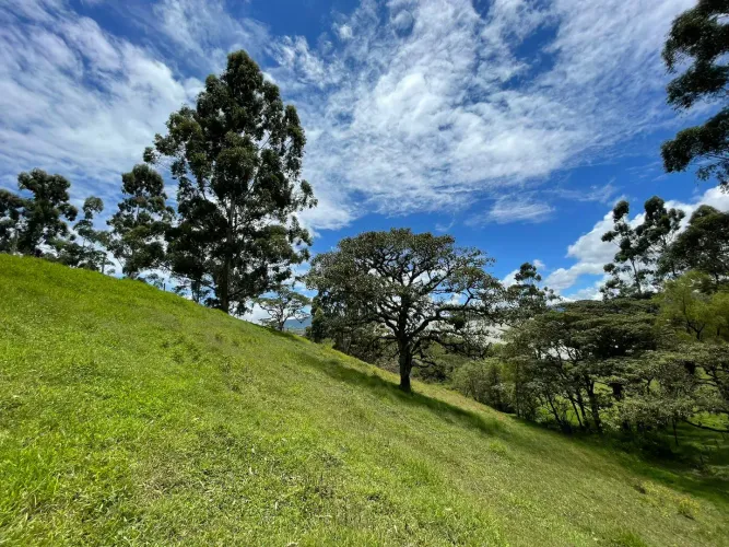 Lote en venta en El Carmen De Viboral, El Carmen de Viboral, 28693 m² · foto 2 de 12