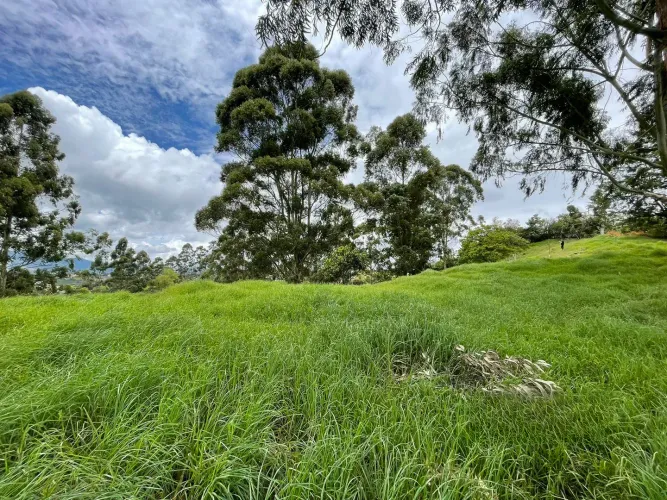 Lote en venta en El Carmen De Viboral, El Carmen de Viboral, 28693 m² · foto 3 de 12
