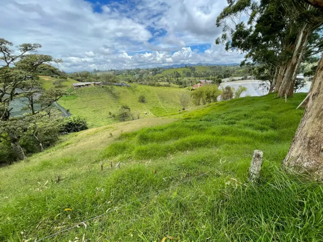 Lote en venta en El Carmen De Viboral, El Carmen de Viboral, 28693 m² · foto 4 de 12