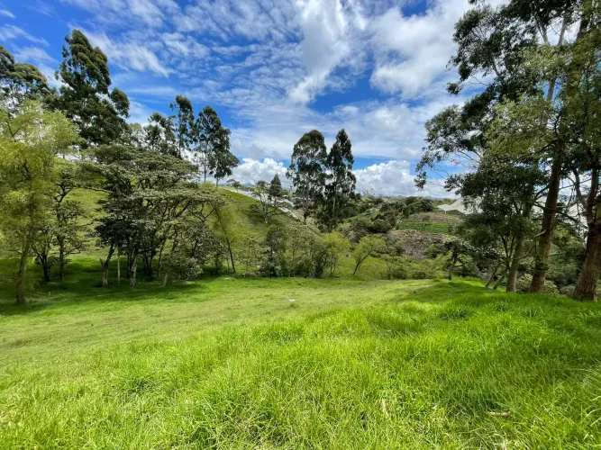 Lote en venta en El Carmen De Viboral, El Carmen de Viboral, 28693 m² · foto 6 de 12