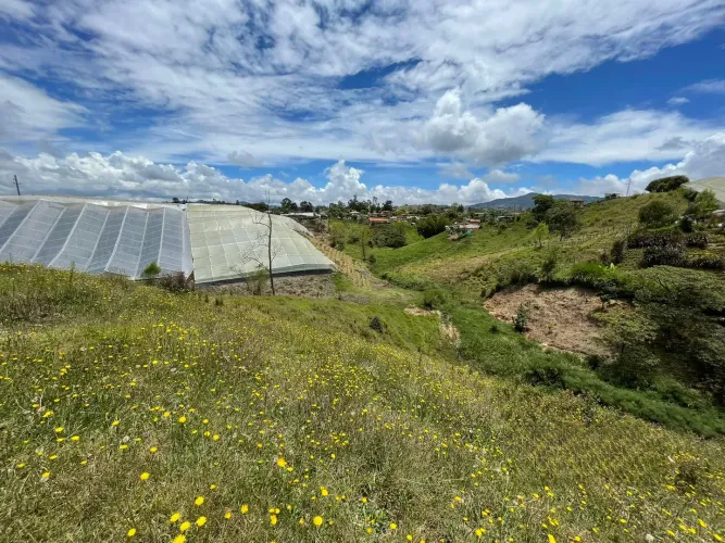 Lote en venta en El Carmen De Viboral, El Carmen de Viboral, 28693 m² · foto 7 de 12
