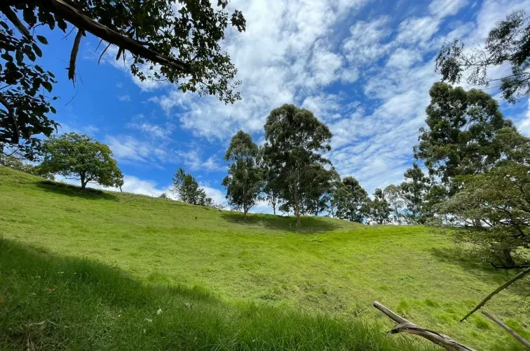 Lote en venta en El Carmen De Viboral, El Carmen de Viboral, 28693 m² · foto 8 de 12