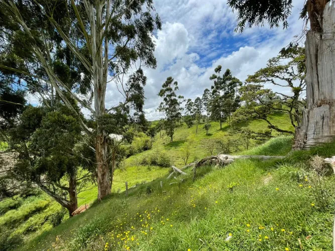 Lote en venta en El Carmen De Viboral, El Carmen de Viboral, 28693 m² · foto 9 de 12