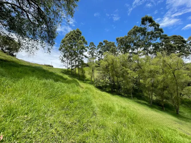 Lote en venta en El Carmen De Viboral, El Carmen de Viboral, 28693 m² · foto 10 de 12