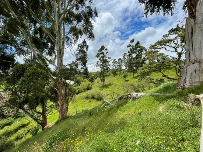 Lote en venta en El Carmen De Viboral, El Carmen de Viboral, 28693 m² · foto 12 de 12