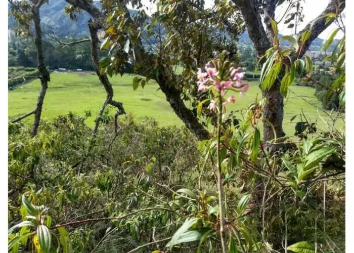 Lote en venta en El Tambo, La Ceja, 1415 m² · foto 10 de 11