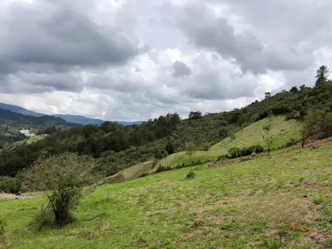 Lote en venta en El Chuscal, El Retiro, 2369 m² · foto 7 de 18