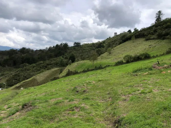 Lote en venta en El Chuscal, El Retiro, 2369 m² · foto 8 de 18