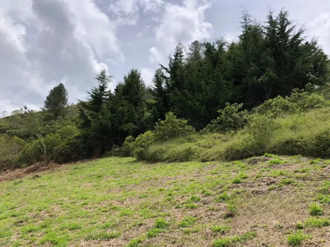 Lote en venta en El Chuscal, El Retiro, 2369 m² · foto 9 de 18