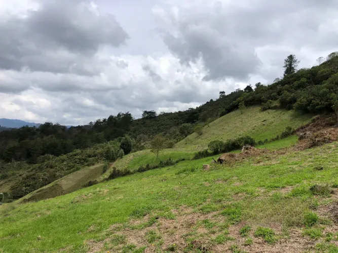 Lote en venta en El Chuscal, El Retiro, 2369 m² · foto 11 de 18