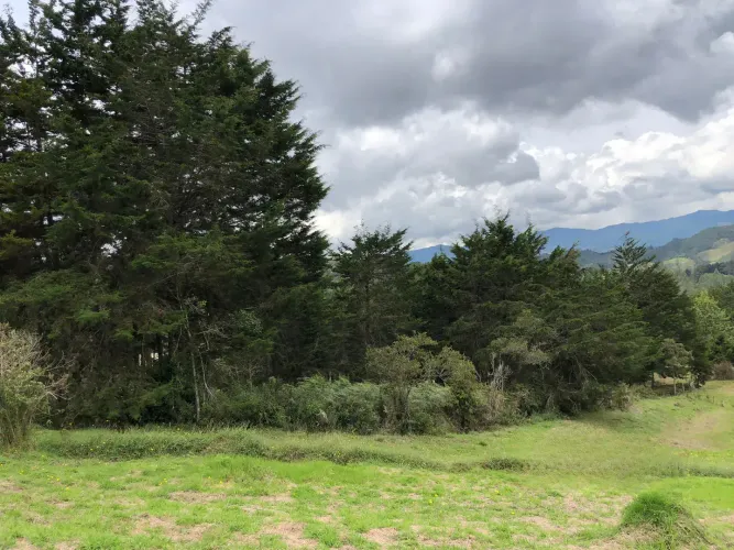 Lote en venta en El Chuscal, El Retiro, 2369 m² · foto 15 de 18