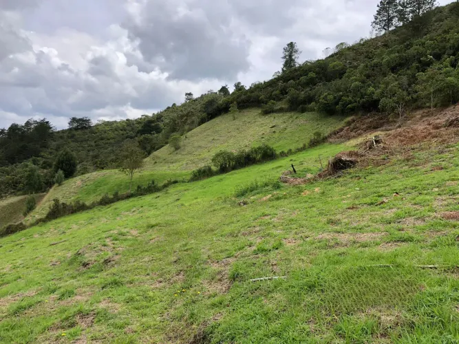 Lote en venta en El Chuscal, El Retiro, 2369 m² · foto 18 de 18