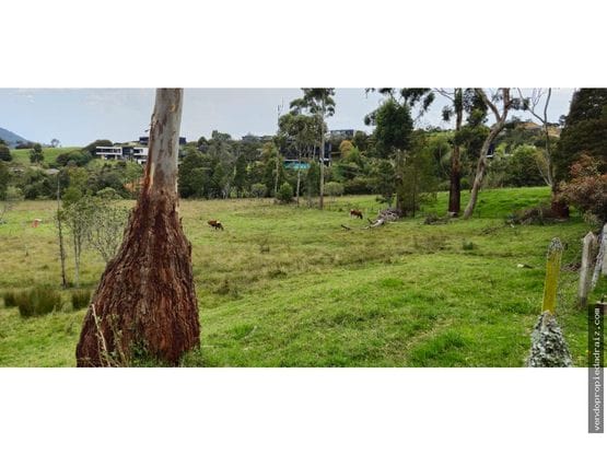 Lote en venta en Mesa, Envigado, 11991 m² · foto 2 de 9