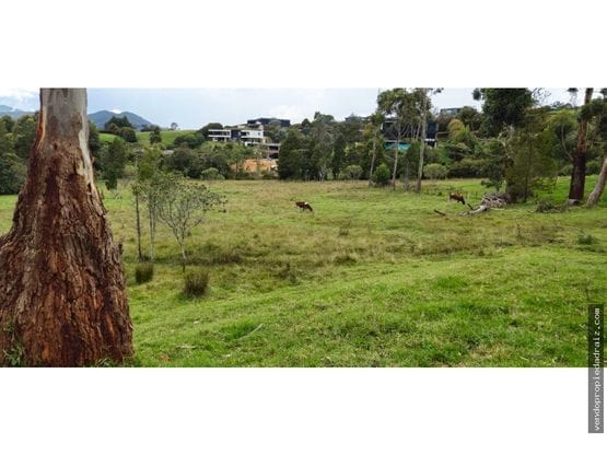 Lote en venta en Mesa, Envigado, 11991 m² · foto 6 de 9