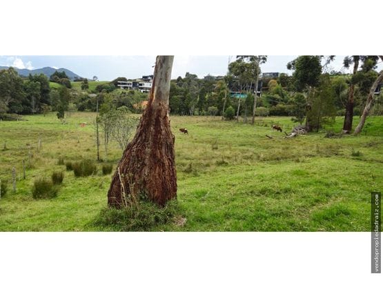 Lote en venta en Mesa, Envigado, 11991 m² · foto 7 de 9