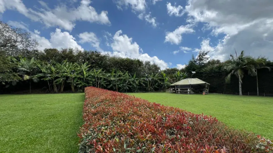 Casa de 4 alcobas en venta en Llano Grande, Rionegro · foto 13 de 24
