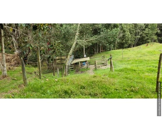 Lote en venta en Mesa, Envigado, 11483 m² · foto 5 de 8