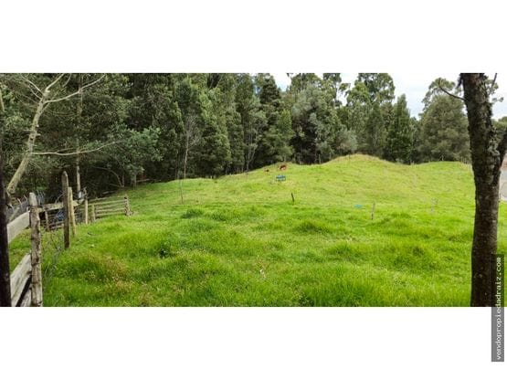 Lote en venta en Mesa, Envigado, 11483 m² · foto 7 de 8