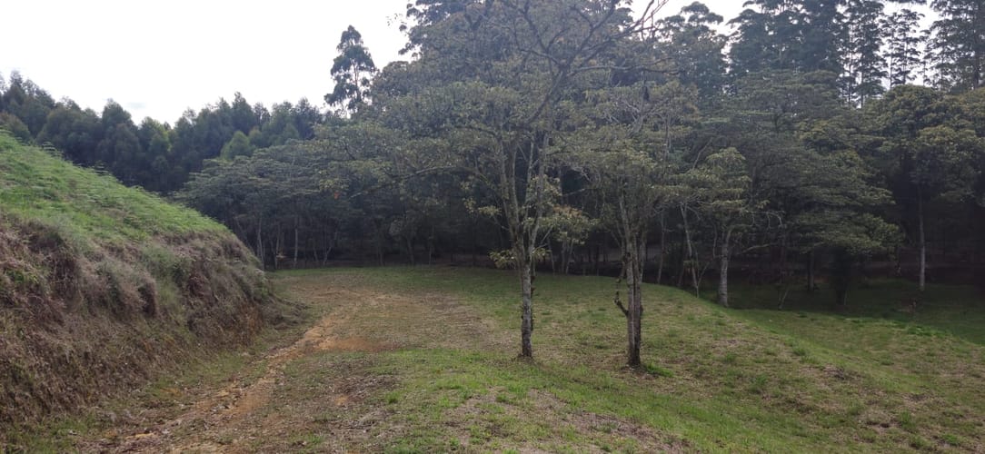 Lote en venta en La Industrial, Marinilla, 6108 m² · foto 9 de 19