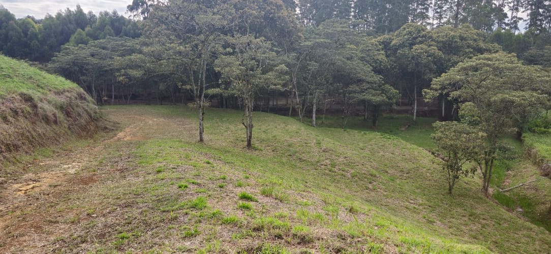 Lote en venta en La Industrial, Marinilla, 6108 m² · foto 14 de 19