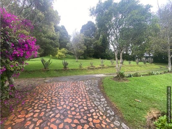 Finca en venta en Mesa, Envigado, 320 m² · foto 6 de 11