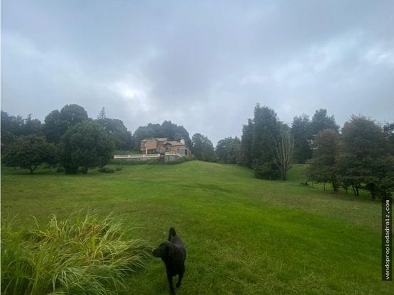 Finca en venta en Mesa, Envigado, 320 m² · foto 8 de 11