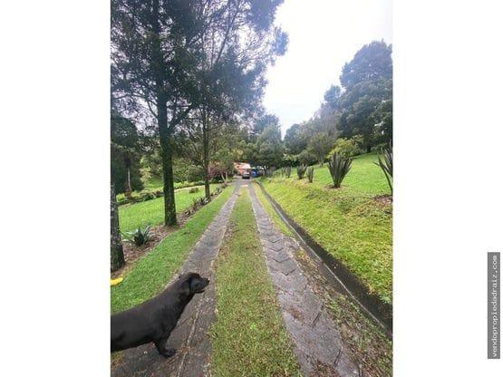 Finca en venta en Mesa, Envigado, 320 m² · foto 9 de 11