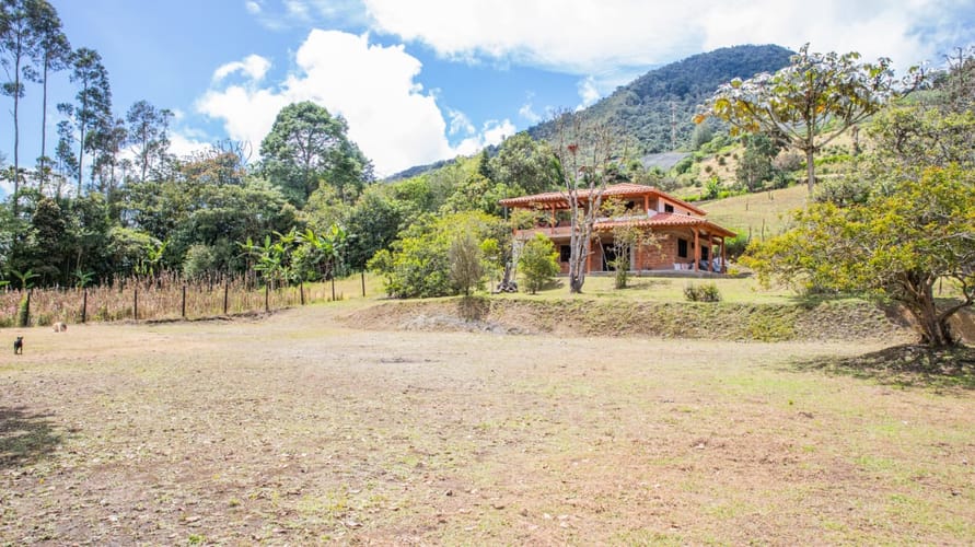 Finca en venta en El Carmen De Viboral, El Carmen de Viboral, 250 m² · foto 9 de 19