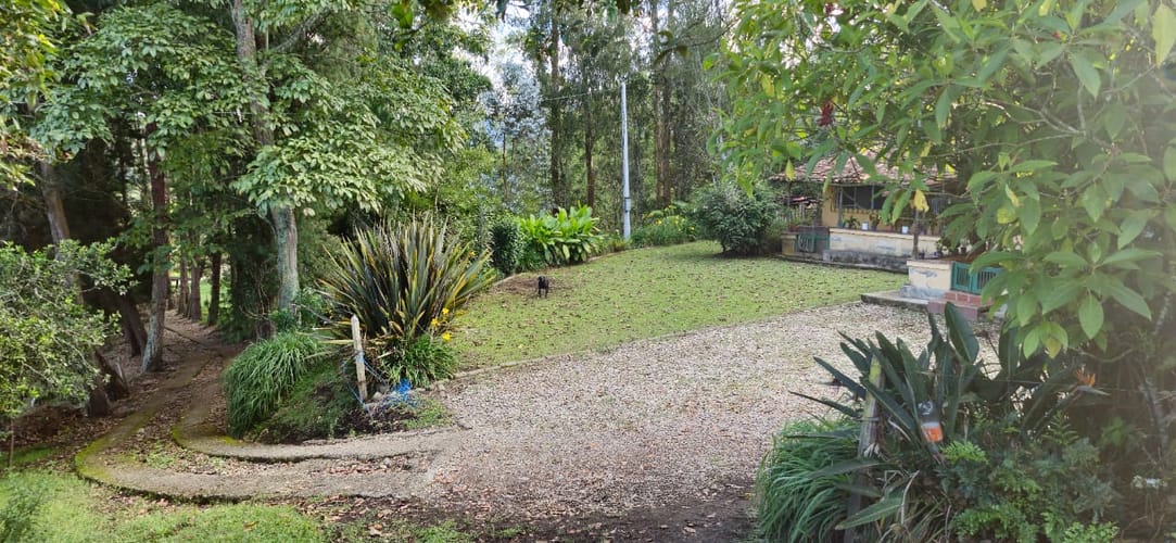 Lote en venta en Cabeceras De Llanogrande, Rionegro, 26268 m² · foto 2 de 24