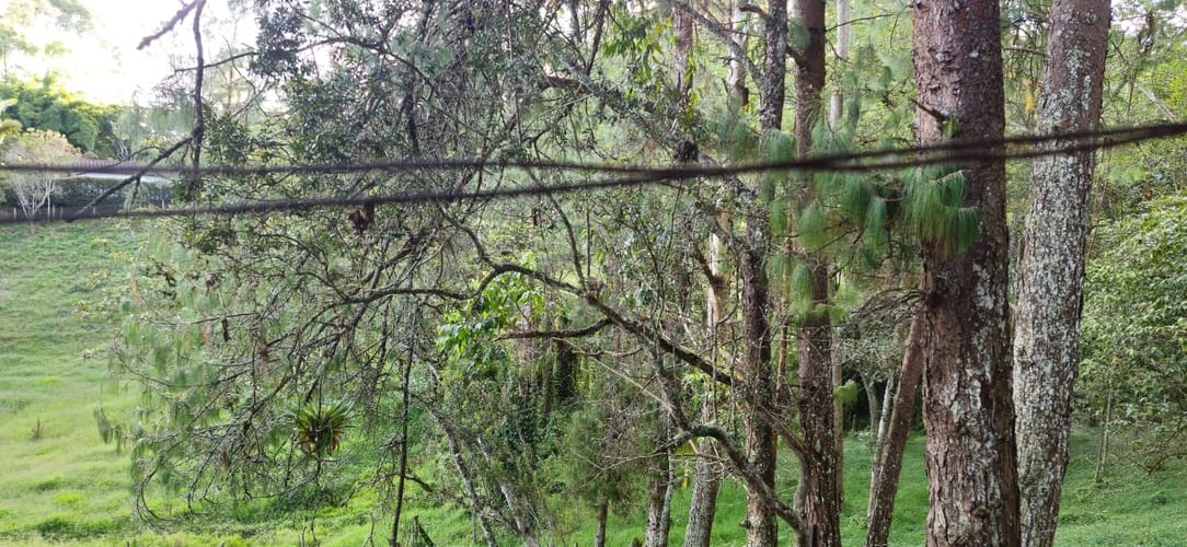 Lote en venta en Cabeceras De Llanogrande, Rionegro, 26268 m² · foto 5 de 24
