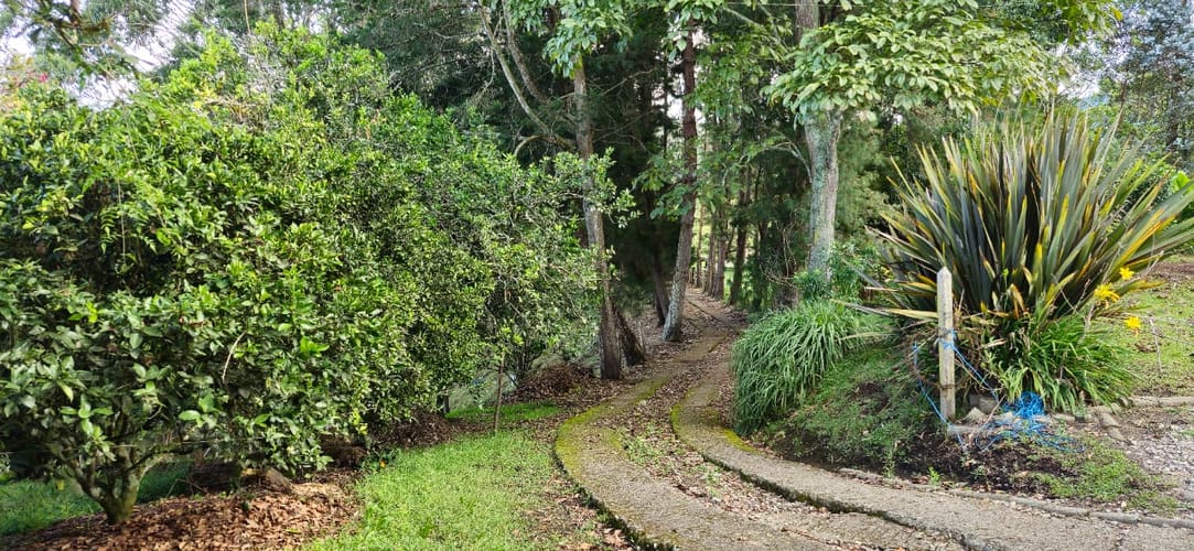 Lote en venta en Cabeceras De Llanogrande, Rionegro, 26268 m² · foto 6 de 24