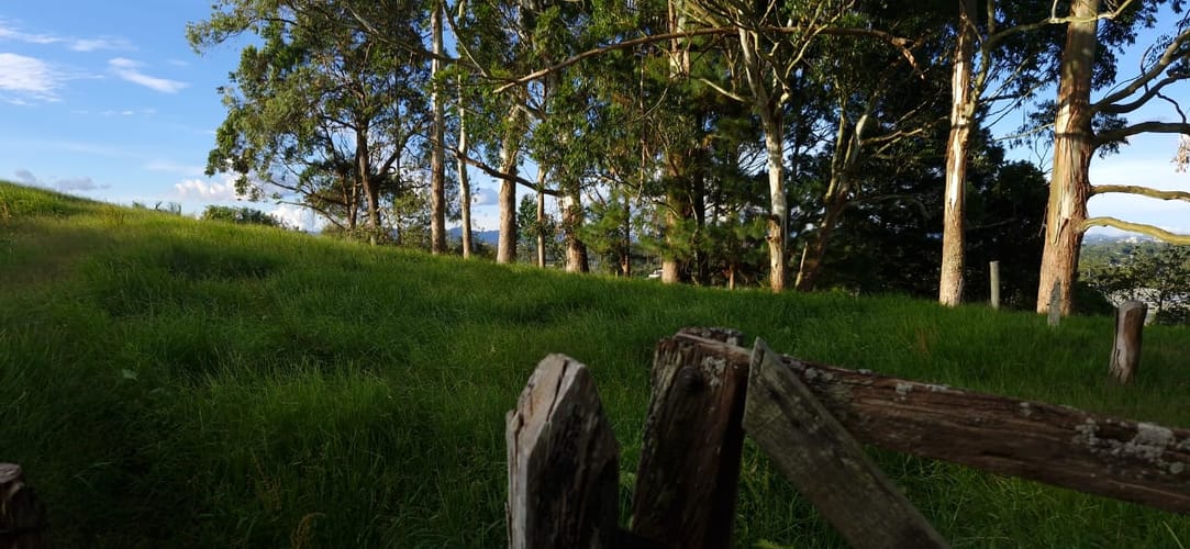 Lote en venta en Cabeceras De Llanogrande, Rionegro, 26268 m² · foto 8 de 24