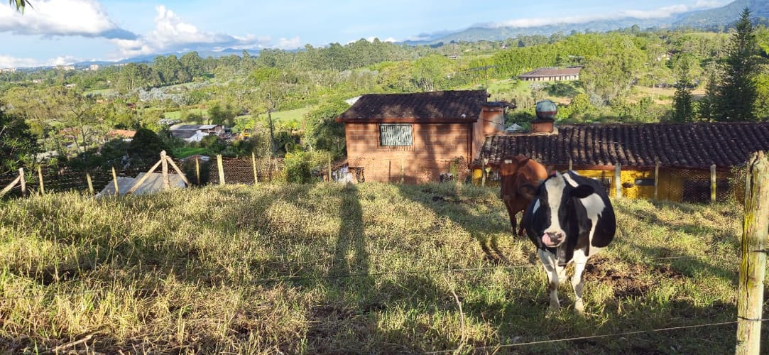 Lote en venta en Cabeceras De Llanogrande, Rionegro, 26268 m² · foto 9 de 24