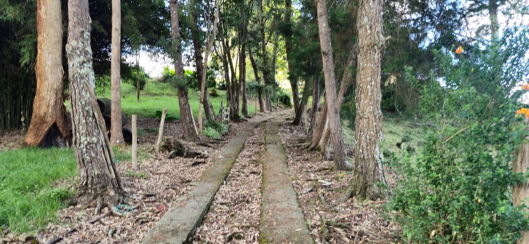 Lote en venta en Cabeceras De Llanogrande, Rionegro, 26268 m² · foto 10 de 24
