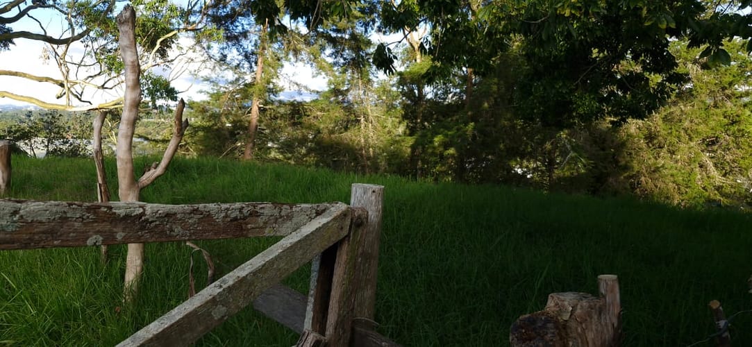 Lote en venta en Cabeceras De Llanogrande, Rionegro, 26268 m² · foto 15 de 24