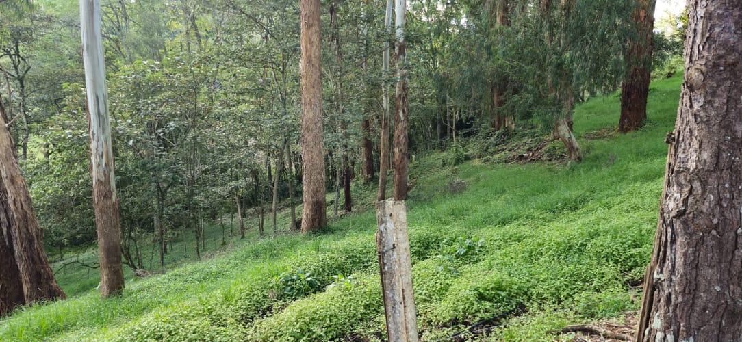 Lote en venta en Cabeceras De Llanogrande, Rionegro, 26268 m² · foto 16 de 24