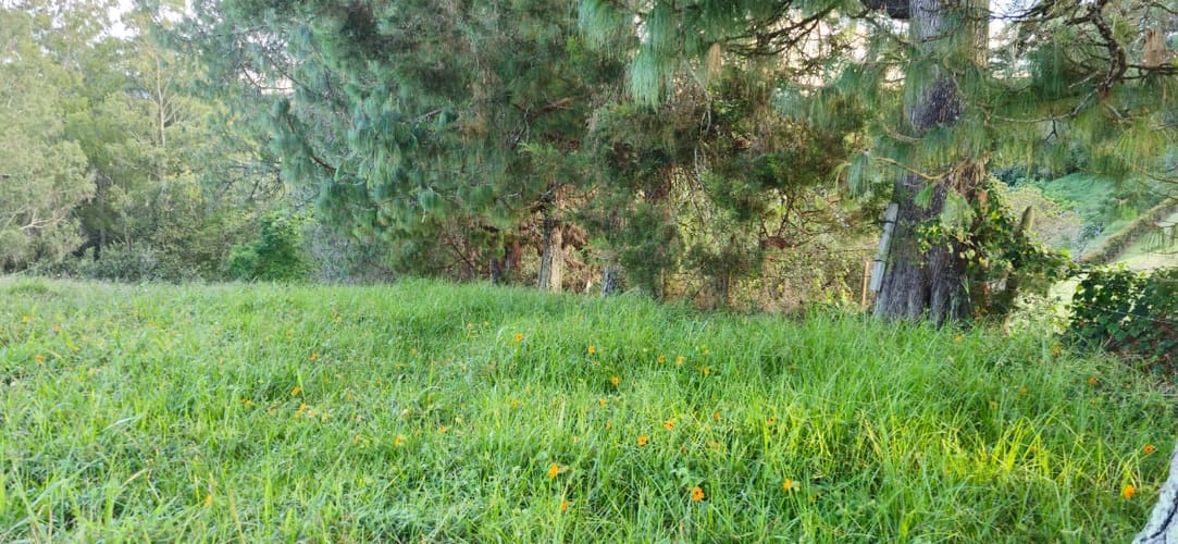 Lote en venta en Cabeceras De Llanogrande, Rionegro, 26268 m² · foto 20 de 24