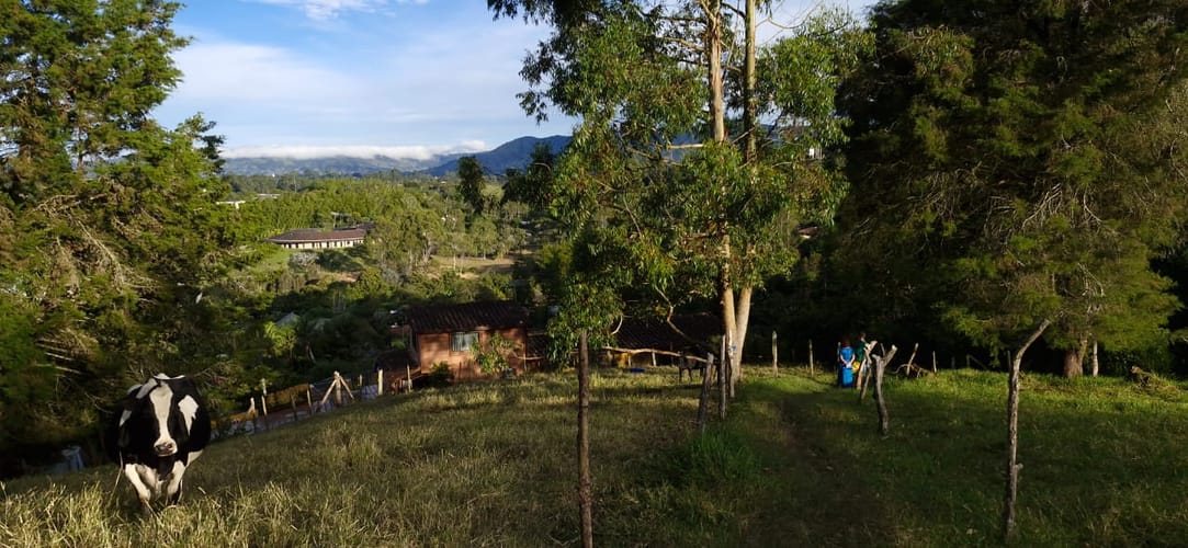 Lote en venta en Cabeceras De Llanogrande, Rionegro, 26268 m² · foto 21 de 24