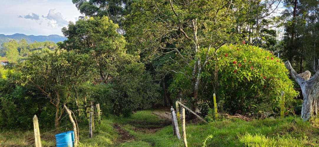 Lote en venta en Cabeceras De Llanogrande, Rionegro, 26268 m² · foto 23 de 24