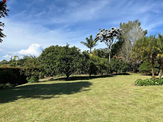 Finca en venta en El Carmen De Viboral, El Carmen de Viboral, 470 m² · foto 7 de 24