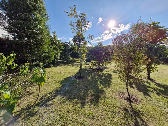 Lote en venta en Cabeceras De Llanogrande, Rionegro, 3200 m² · foto 6 de 15