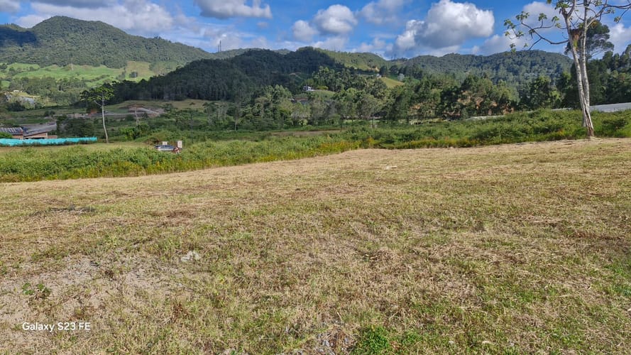 Lote en venta en El Tambo, La Ceja, 1489 m² · foto 4 de 14
