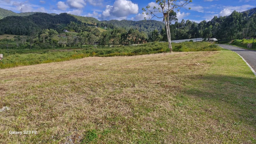 Lote en venta en El Tambo, La Ceja, 1489 m² · foto 9 de 14