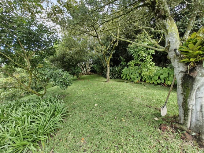 Finca en venta en Santa Ana, Rionegro, 2900 m² · foto 7 de 24