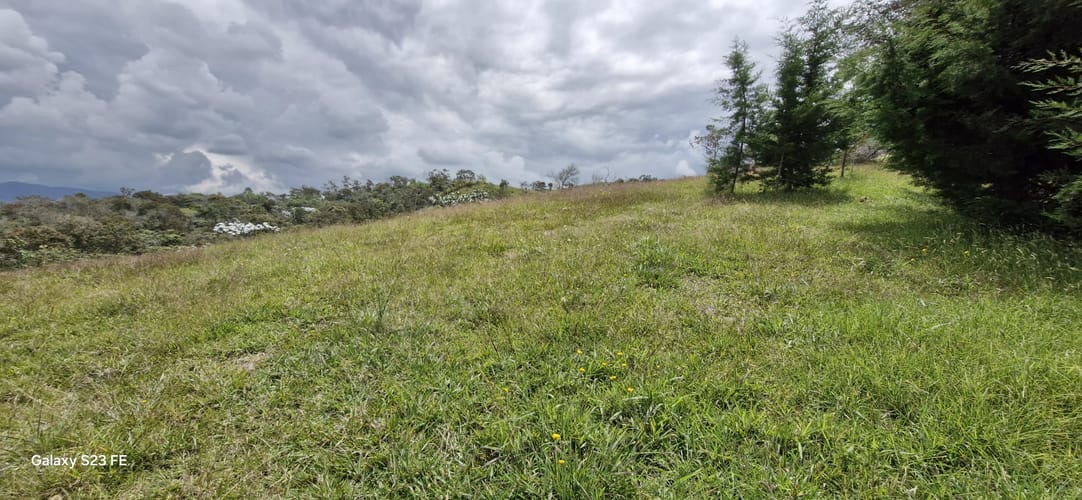 Lote en venta en El Porvenir, Rionegro, 10172 m² · foto 3 de 13